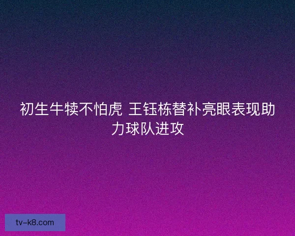 初生牛犊不怕虎 王钰栋替补亮眼表现助力球队进攻